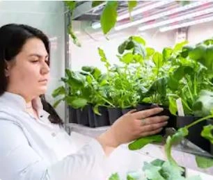 Università Agraria Statale Russa - MSHA K.A. Timiryazev