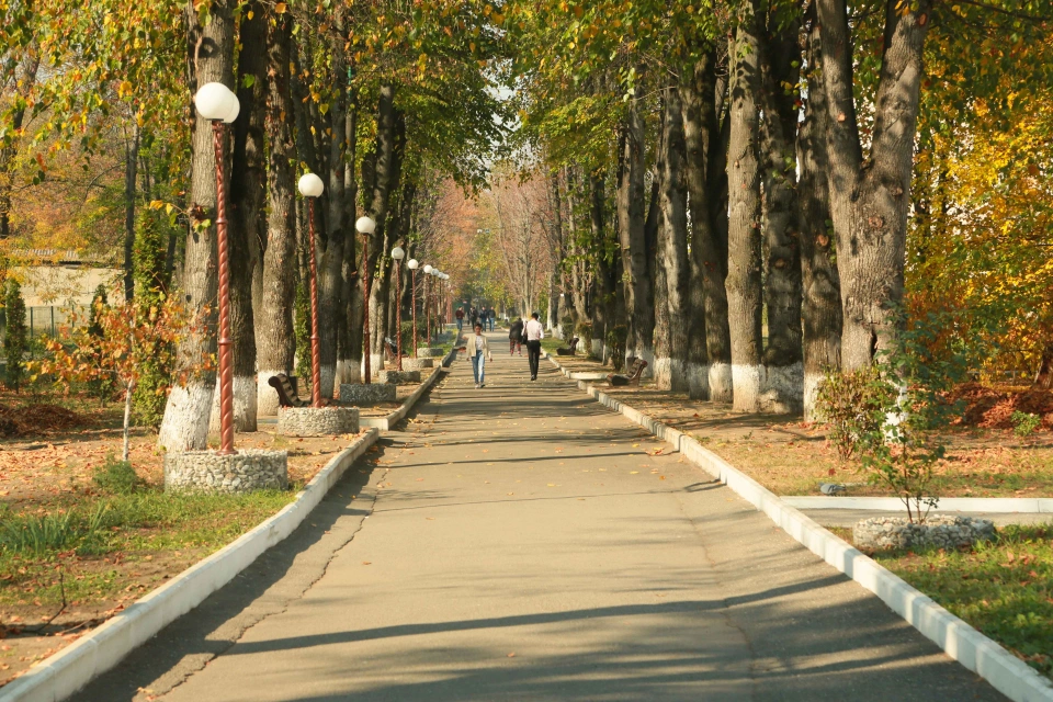 Кабардино-Балкарский государственный университет им. Х.М. Бербекова